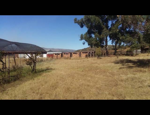 FARM FOR SALE IN LYDENBURG RURAL